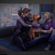hawkeye and his dog in marvels avengers